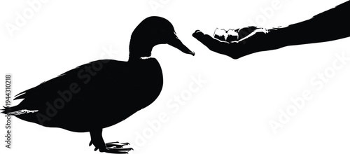 Black silhouette of duck facing hand with food white background