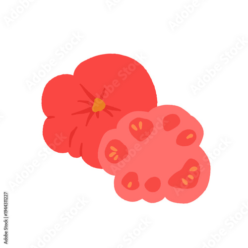 Heirloom Tomato Variety Set. Cherry, Beefsteak, San Marzano, Yellow Pear, Green Tomato, Seedling, Plant. Garden Vegetable Collection Hand Drawn Vector Illustration