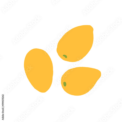 Heirloom Tomato Variety Set. Cherry, Beefsteak, San Marzano, Yellow Pear, Green Tomato, Seedling, Plant. Garden Vegetable Collection Hand Drawn Vector Illustration