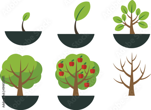 Apple Tree Growth Stages Outline Icon Set Showing Seed Germination Seedling Sapling Mature Fruit Tree and Winter Dormant Phase