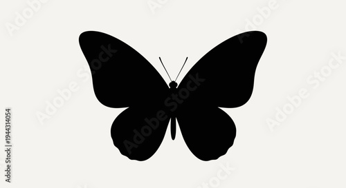 Black Butterfly Silhouette Close Up.