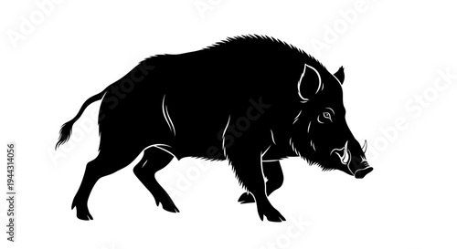 Black boar running in profile view.