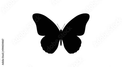 Black butterfly silhouette with wings spread.