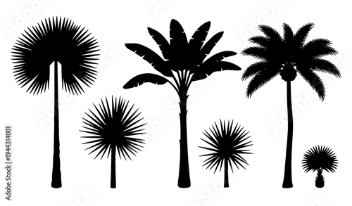 Black silhouette tropical palm trees vector illustration collection isolated on white
