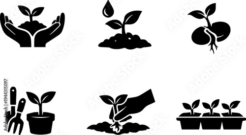 Plant growth gardening care silhouette icons