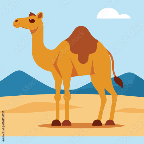 Camel Desert Animal Vector Illustration.