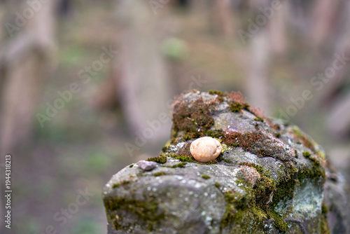 Visiting old Jewish cemetery in Prague, Czech Republic