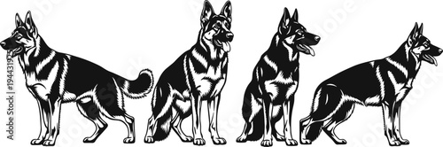 Detailed, black, silhouette, of, a, man, walking, his, dog, with, a, turquoise, leash, isolated, on, white, background, flat, vector, illustration