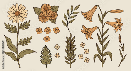 A collection of hand-drawn floral elements featuring various flowers and leaves in a modern, minimalist style