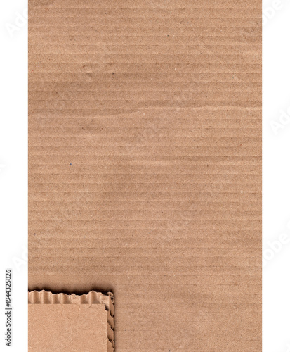 Piece of torn cardboard on a white background. Torn cardboard isolate. pedazo de carton arrugado