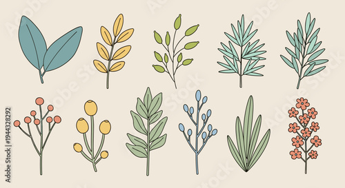 A collection of hand-drawn botanical elements featuring various leaves and flowers in a colorful, modern style