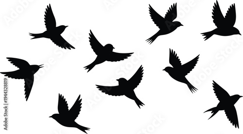 flying, bird, silhouettes, black, bird, set, flying, birds, collection, isolated, nature, wildlife, wing, spread, swallow, pigeon, sky, freedom, minimal, vector