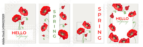 A set of spring-themed postcards and posts with red poppies, suitable for posts, banners, cards, and other purposes. 