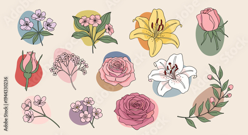 A vibrant collection of hand-drawn floral illustrations featuring various flowers in a modern, colorful style