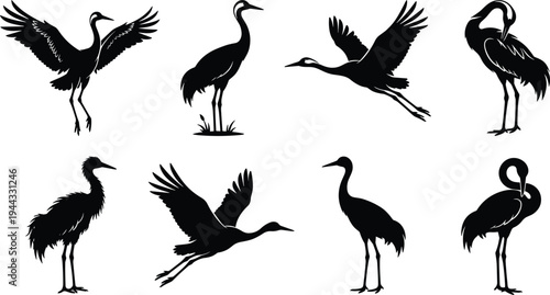Collection of elegant crane bird silhouettes in various poses including flying, standing, and grooming isolated on white background