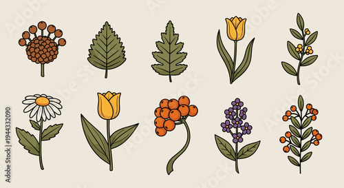 A collection of hand-drawn floral illustrations featuring various flowers, leaves, and plants in a modern, minimalist style