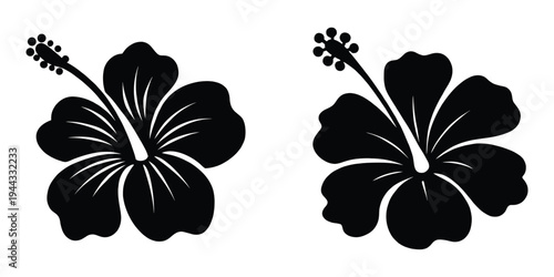 hibiscus flower silhouettes, tropical hibiscus flower icon, hibiscus flower vector illustration