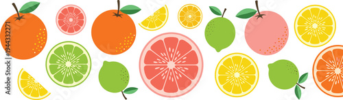 Citrus Fruit Vector Illustration Set with Oranges, Lemons, Limes, and Grapefruit for Fresh, Healthy, and Food-Themed Designs