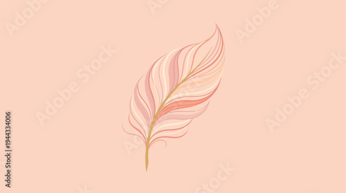 Delicate feather illustration on a soft peach background, simple and elegant.