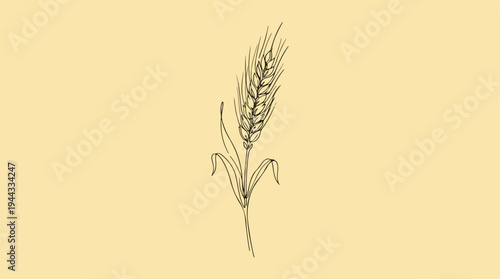 Detailed illustration of a wheat plant on a light yellow background.