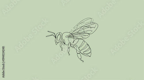 Detailed line art illustration of a flying honeybee on a light green background.