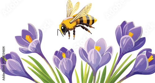 crocus blooming flower with bee clipart vector illustration