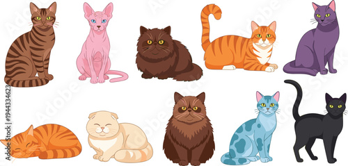 Domestic Cat Breeds Collection Cute Cartoon Cats Sitting Sleeping and Standing Pet Animal Set Vector Illustration