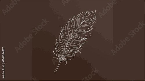 Elegant feather illustration on a brown background, artistic design.