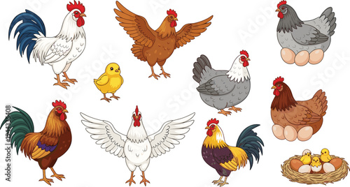 Farm Chicken Set with Rooster Hen Chick Eggs and Nest Colorful Poultry Bird Illustration Collection