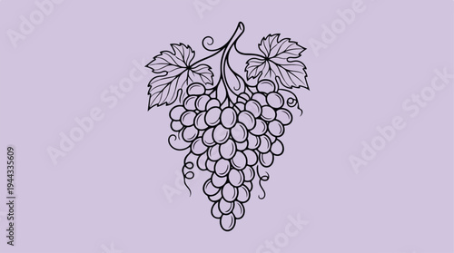 Elegant Grape Cluster Illustration on a Soft Lavender Background.