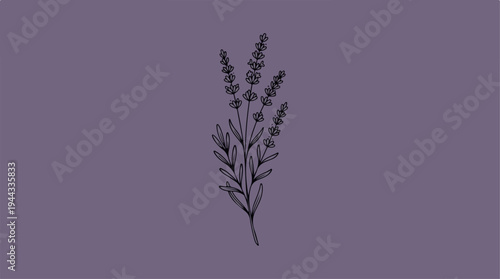Elegant lavender sprig illustration on a soft purple background.