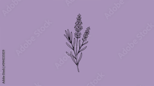 Elegant Lavender Sprig on a Monochromatic Purple Background.