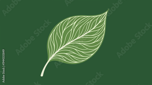 Elegant leaf illustration on a dark green background, nature concept.