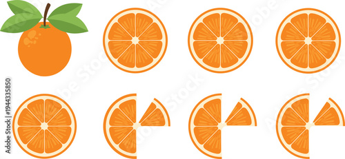 Fresh Orange Fruit Set with Whole Orange Round Slices and Wedges Citrus Food Illustration