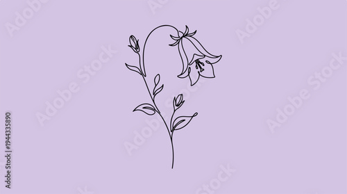 Elegant line art of a bellflower on a lavender background.