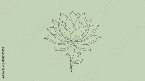 Elegant line art of a blooming lotus flower on a soft green background.