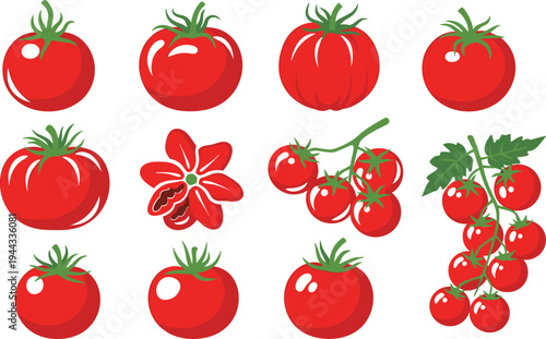 Fresh Red Tomato Collection Including Whole Tomatoes Slices and Cherry Tomato Bunch for Food Cooking and Vegetable Illustration