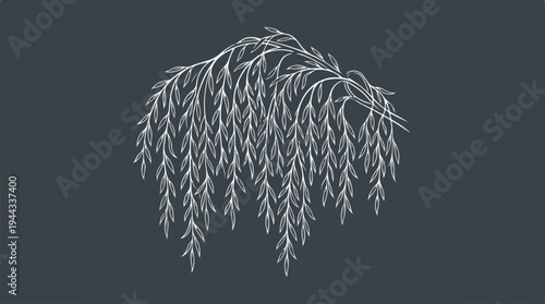 Elegant weeping willow tree illustration on a dark background, artistic design.