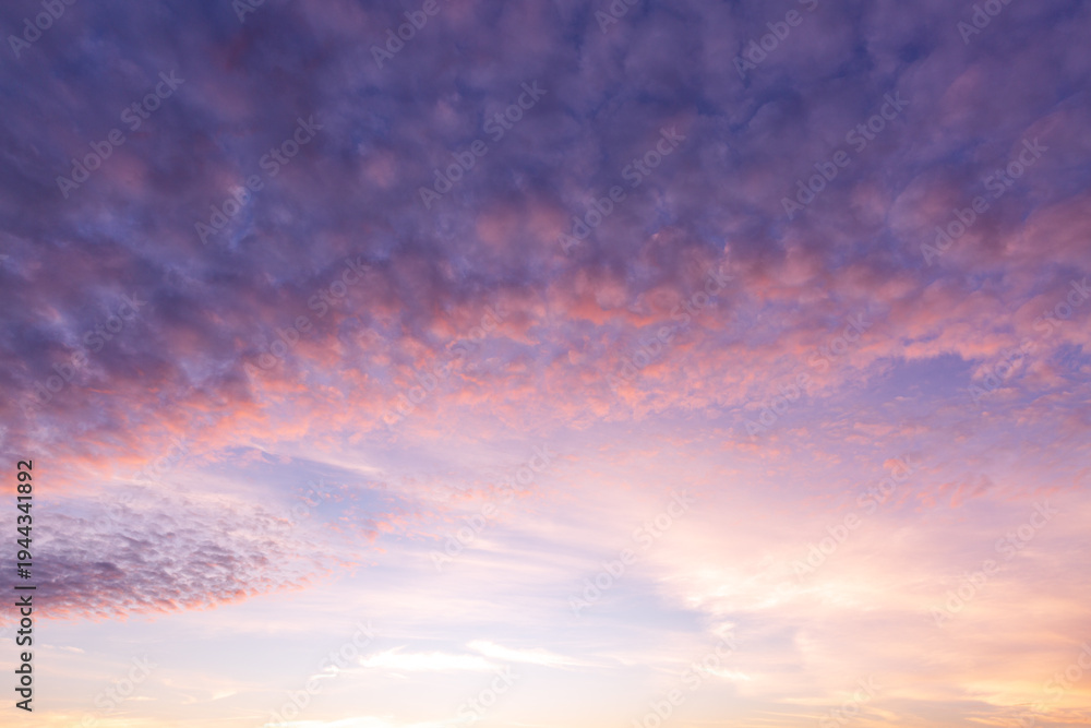 Obraz premium Beautiful pastel sunset sky with purple and pink altocumulus clouds background,A breathtaking view of the twilight sky filled with soft purple, pink, and orange hues. The textured altocumulus clouds 