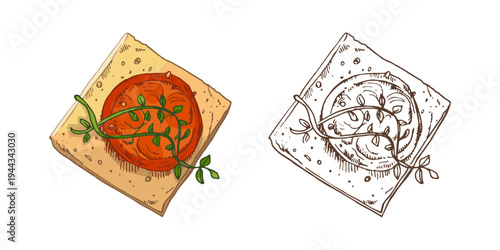Hand drawn vintage Italian bruschetta toast with tomato thyme herb Mediterranean appetizer food illustration