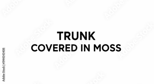 Black text on white, with the words "TRUNK COVERED IN MOSS.