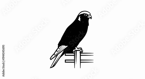 Black and white illustration of a raptor perched on a wooden post