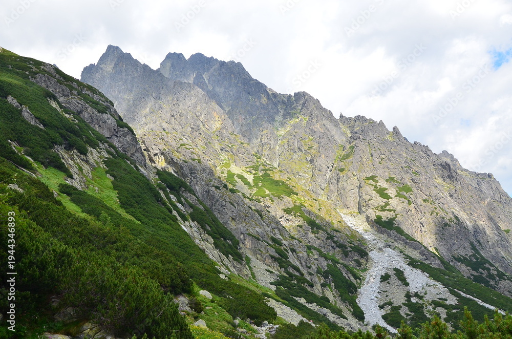 Fototapeta premium Beautiful mountain landscape with green trees under bright daylight, captured during summer in the High Tatras.