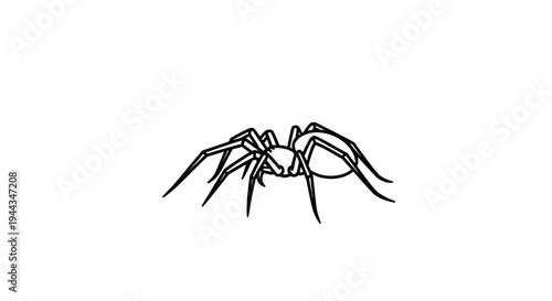 Minimalist Black and White Line Art Illustration of a Spider on a White Background