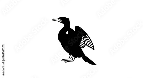 Black silhouette of a cormorant bird standing on its webbed feet