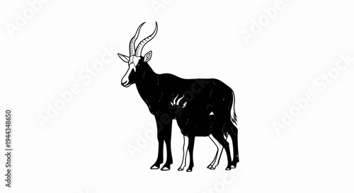 Black and white illustration of an adult antelope with a young one