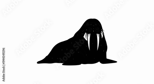 Black silhouette of a walrus with large tusks lying down on a white background