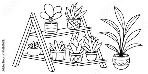 A variety of potted plants arranged on a shelf and a ladder
