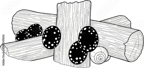 Black spotted oval shapes and snail shell on logs