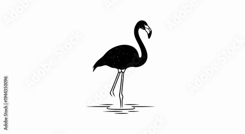 Black flamingo stands on one leg in shallow water, simple sketch
